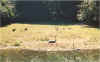 animal28.jpg (116363 octets)