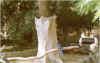animal9.jpg (123183 octets)