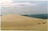 dune11.jpg (58522 octets)