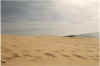 dune12.jpg (70225 octets)