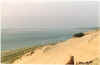 dune13.jpg (67135 octets)