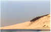 dune4.jpg (64702 octets)