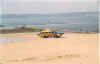 jersey1.jpg (68085 octets)