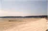 jersey2.jpg (62871 octets)