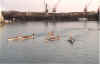 jersey7.jpg (84979 octets)
