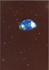 wpe65669.gif (66637 octets)