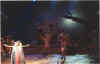 roilion6.jpg (82711 octets)